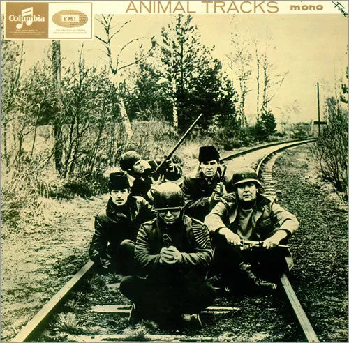 Animal Tracks