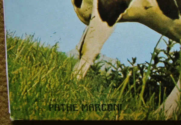 Atom Heart Mother