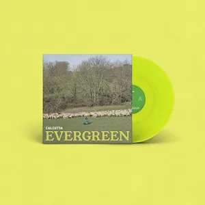 Evergreen
