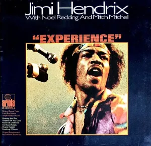Experience