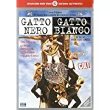 Gatto Nero Gatto Bianco