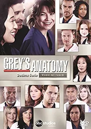 Grey's Anatomy - Stagione 10  6DVD