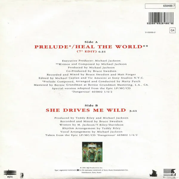 Heal The World / She Drives Me Wild Special Poster Bag