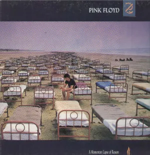 Momentary Lapse Of Reason