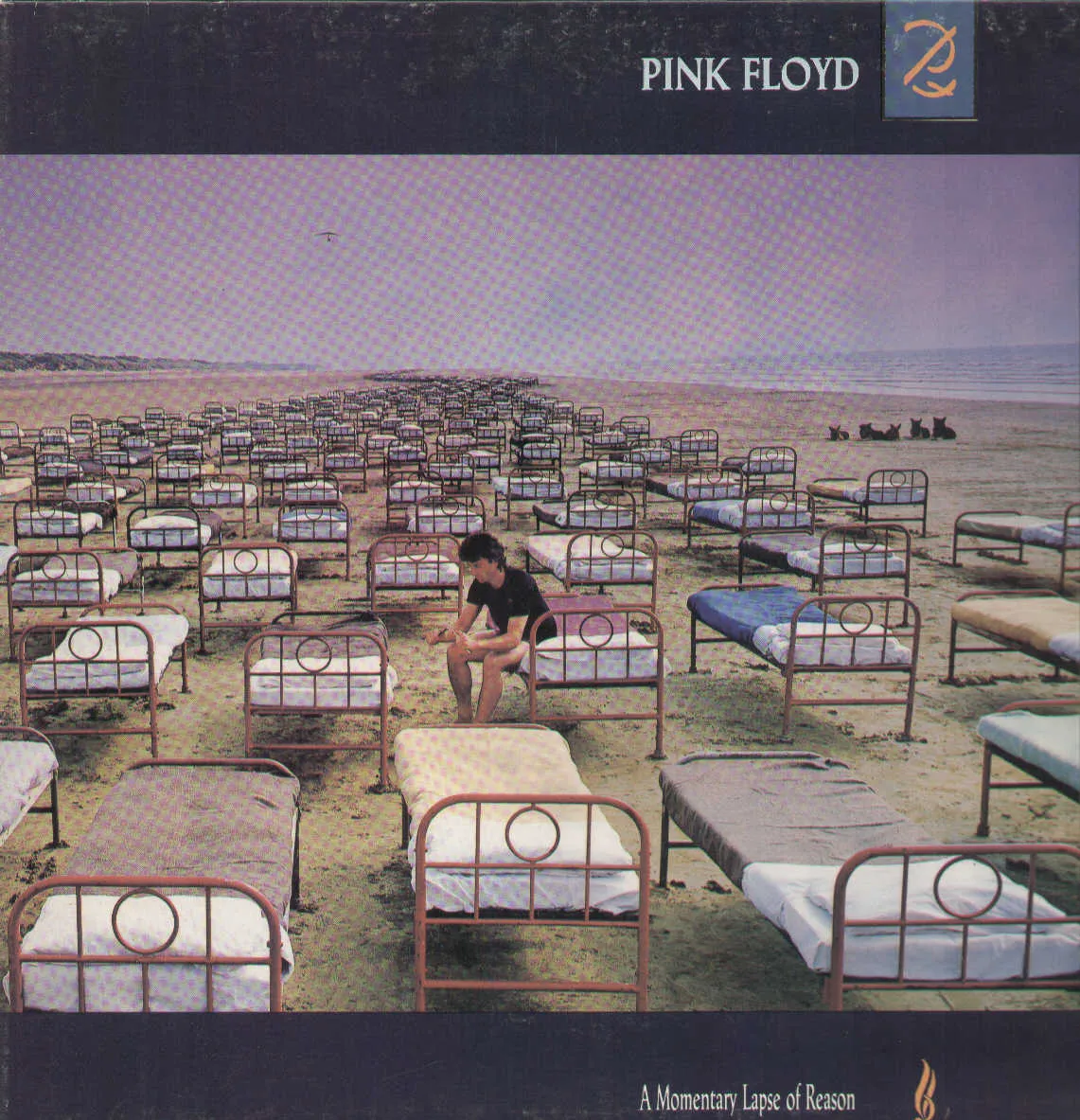 Momentary Lapse Of Reason