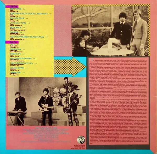 The Best Of The Standells