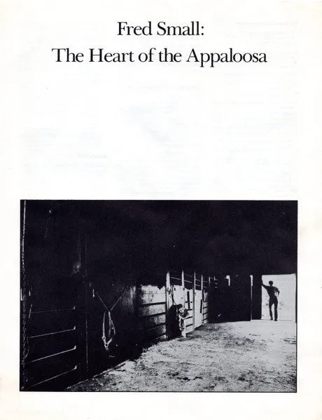 The Heart Of The Appaloosa